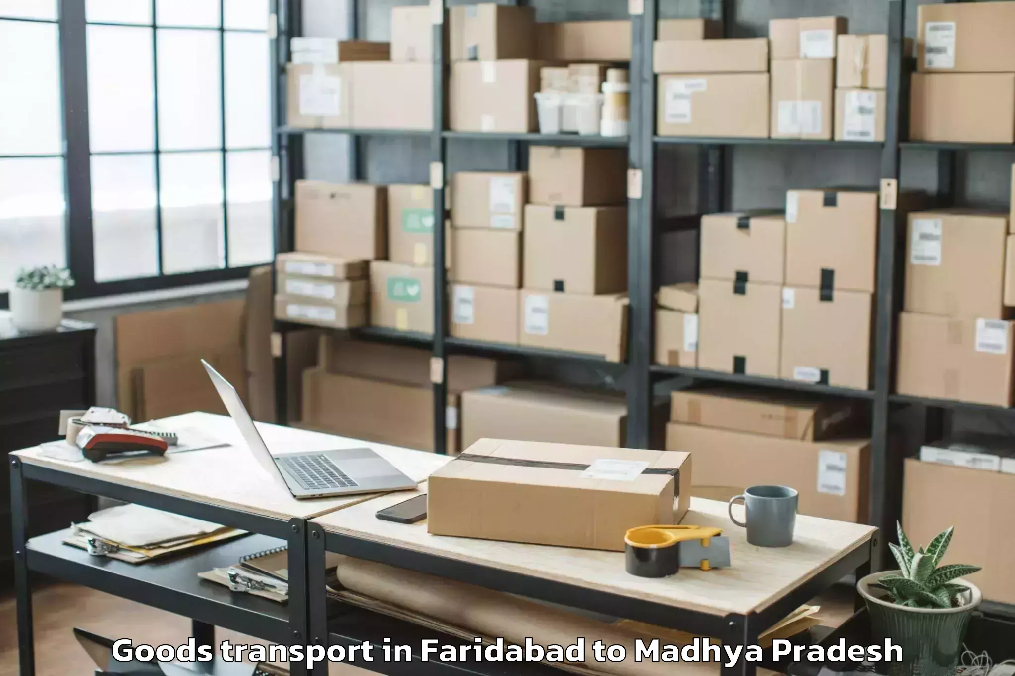 Book Faridabad to Seondha Goods Transport Online